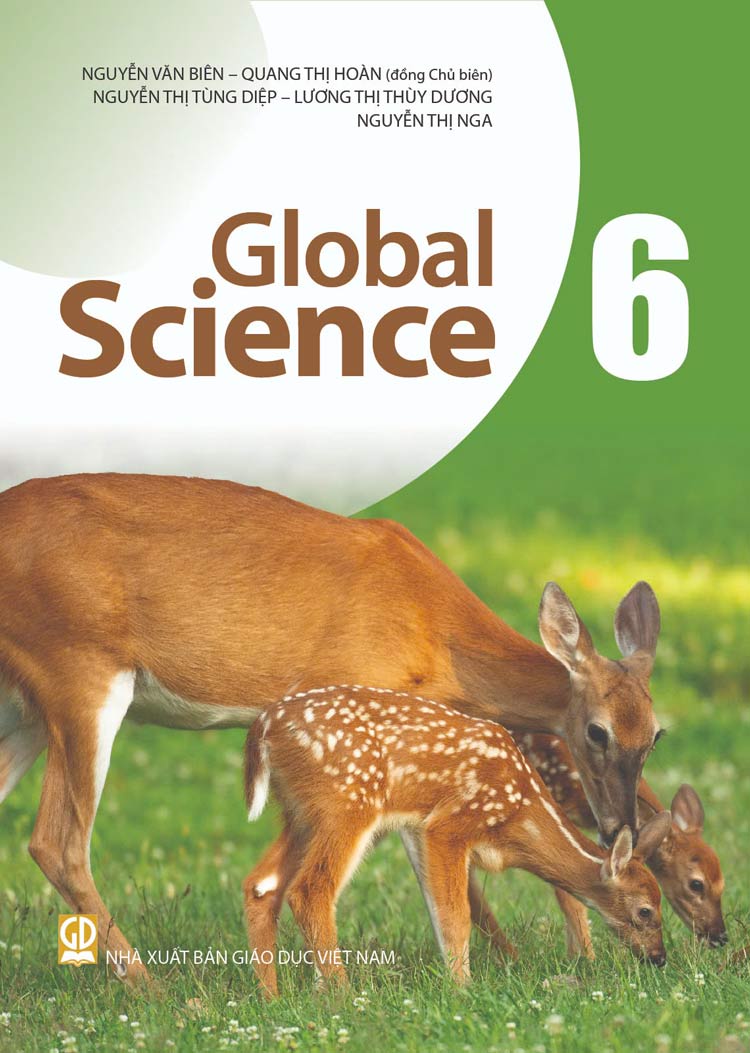 Global Science 6